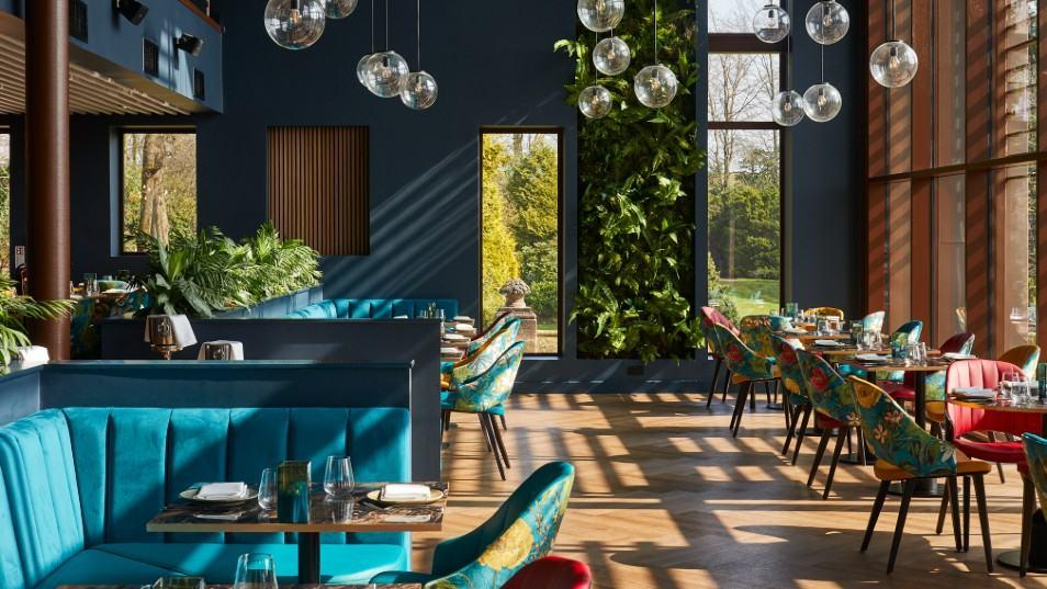 The Tawny Hotel: A Luxurious Retreat in the Heart of Nature